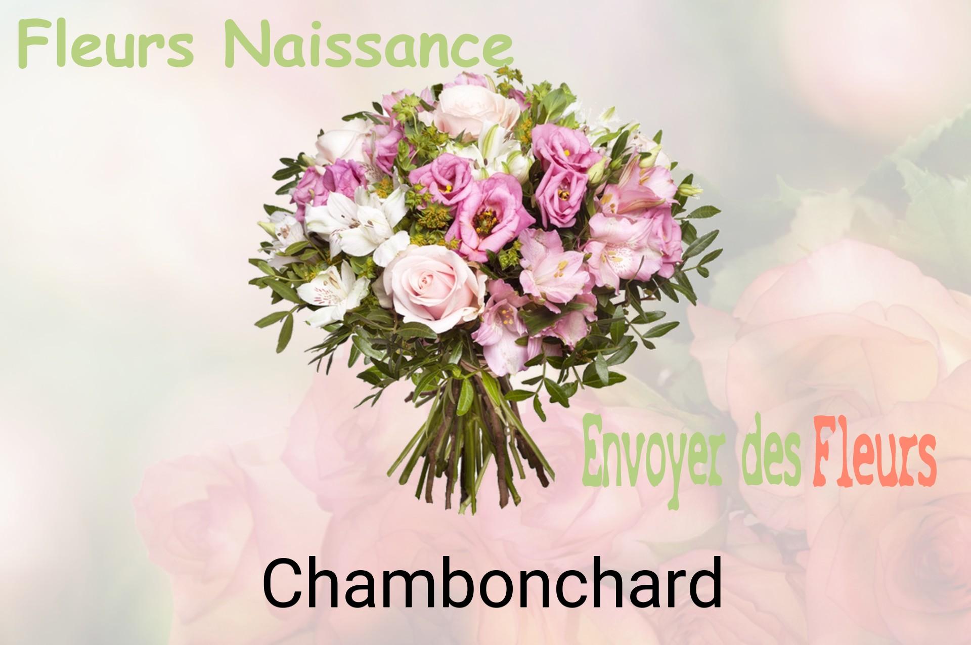 Bouquet de fleurs de naissance livré à Chambonchard